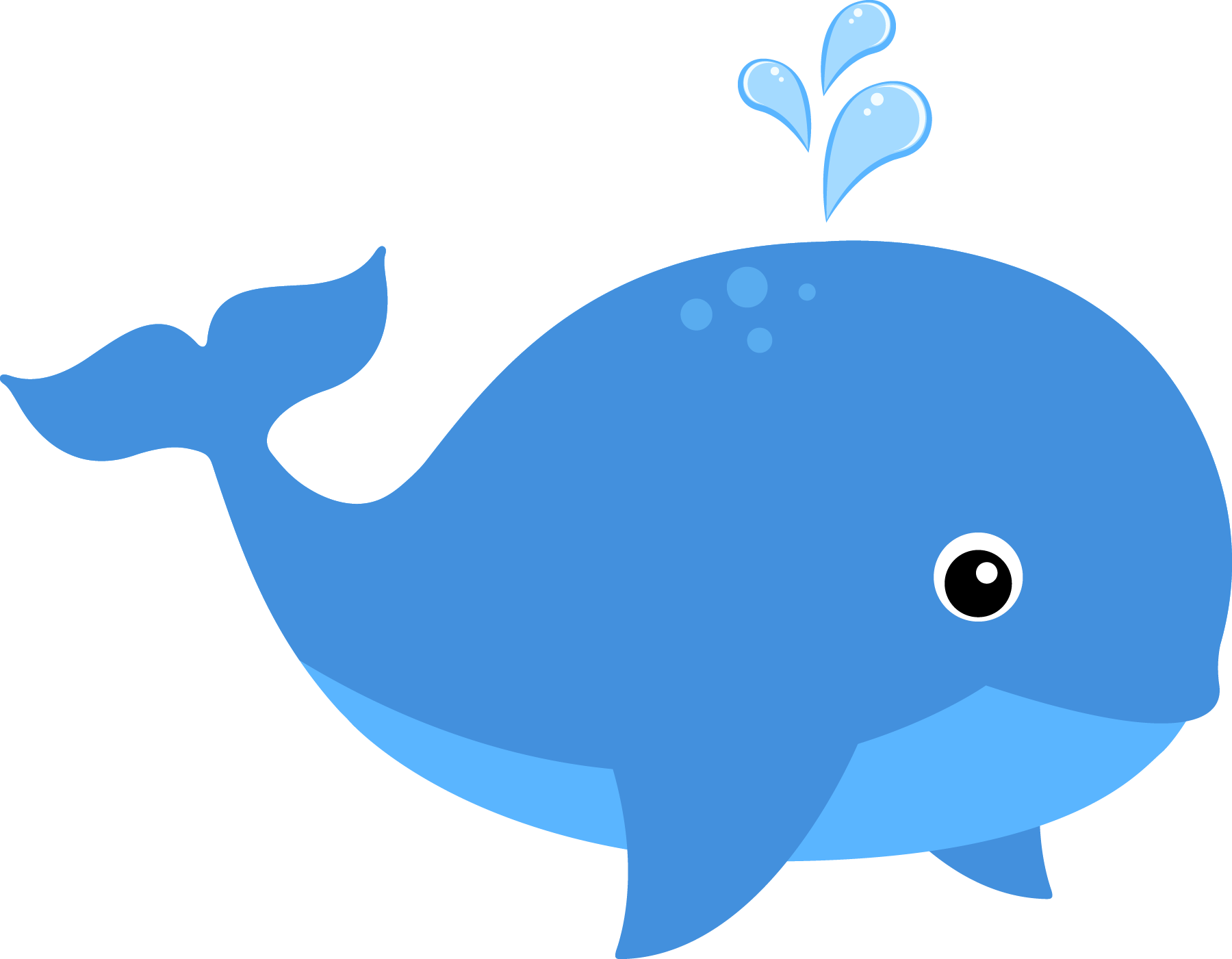 Whale
